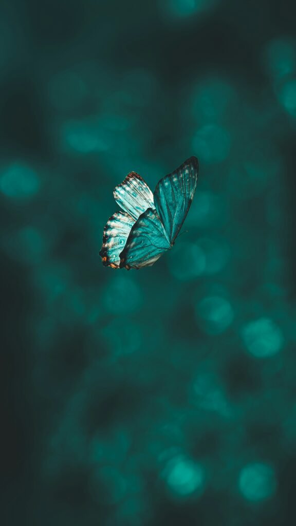 A teal coloured butterfly against a teal background