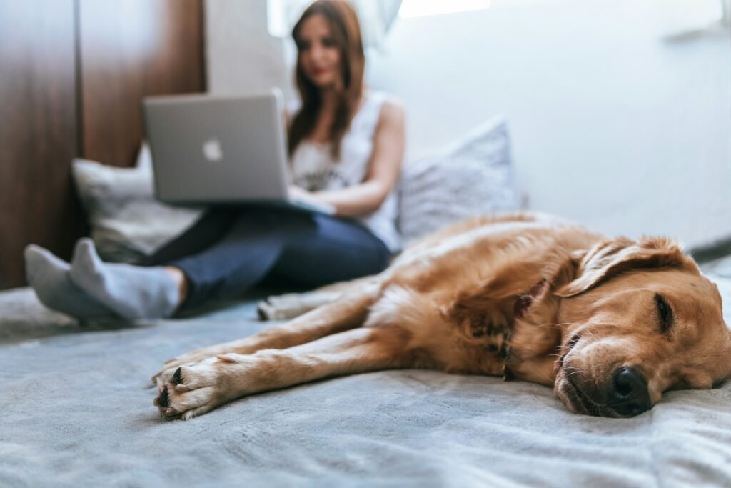 Woman on a laptop sitting on a bed with her dog asleep on the bed