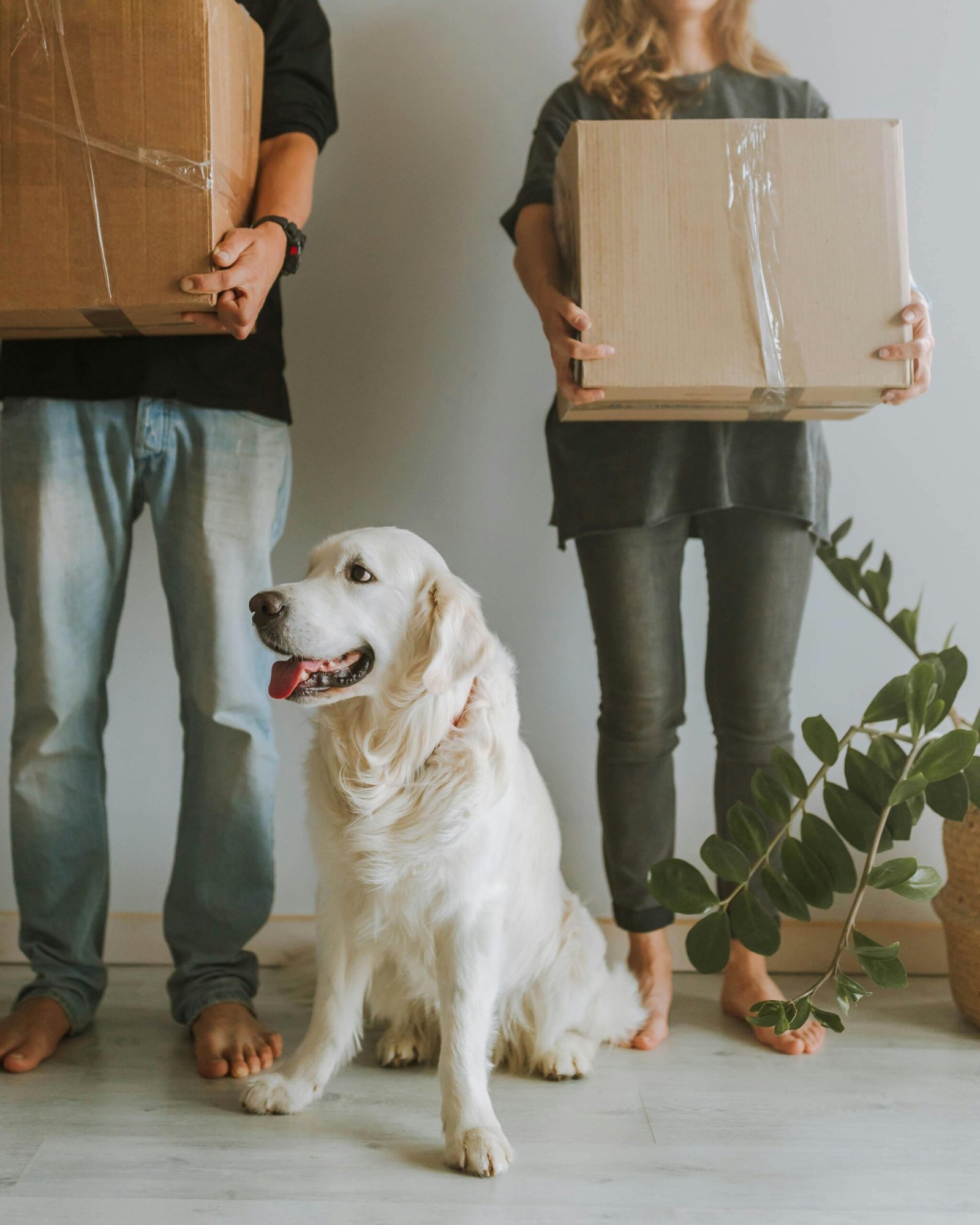 A couple with their dog, holding packing boxes as they prepare to relocate abroad