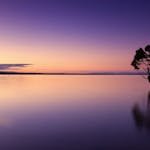 Serene twilight scene of a lone tree reflecting on calm waters, against a vibrant sky.