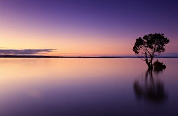 Serene twilight scene of a lone tree reflecting on calm waters, against a vibrant sky.