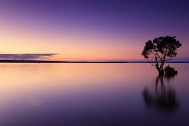 Serene twilight scene of a lone tree reflecting on calm waters, against a vibrant sky.