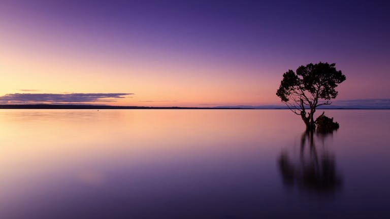 Grief Therapy Perth