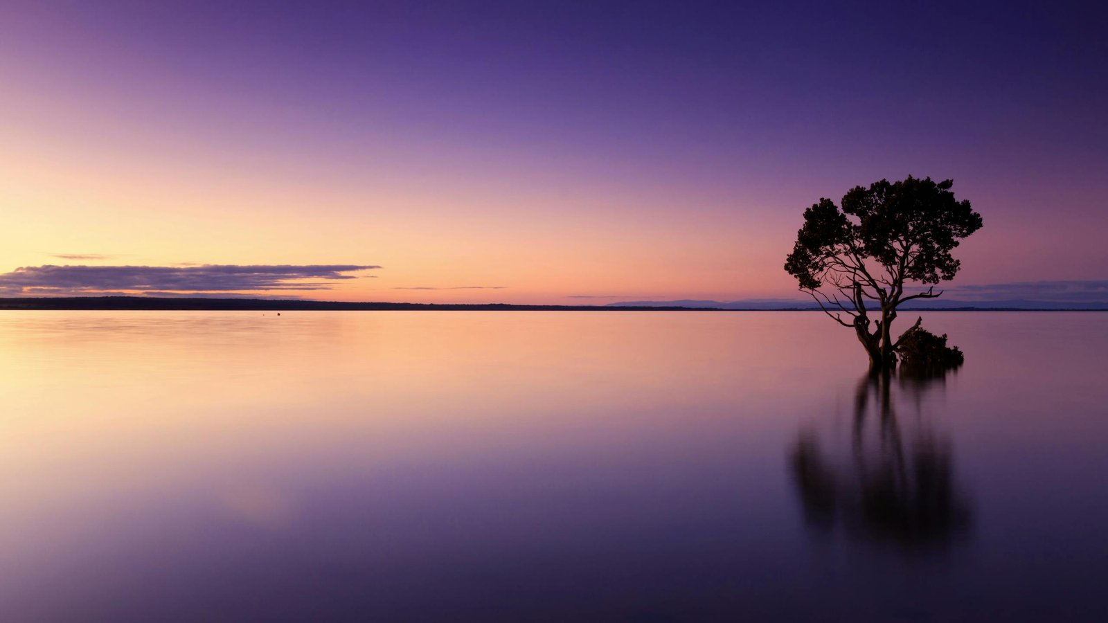 Grief Therapy Perth