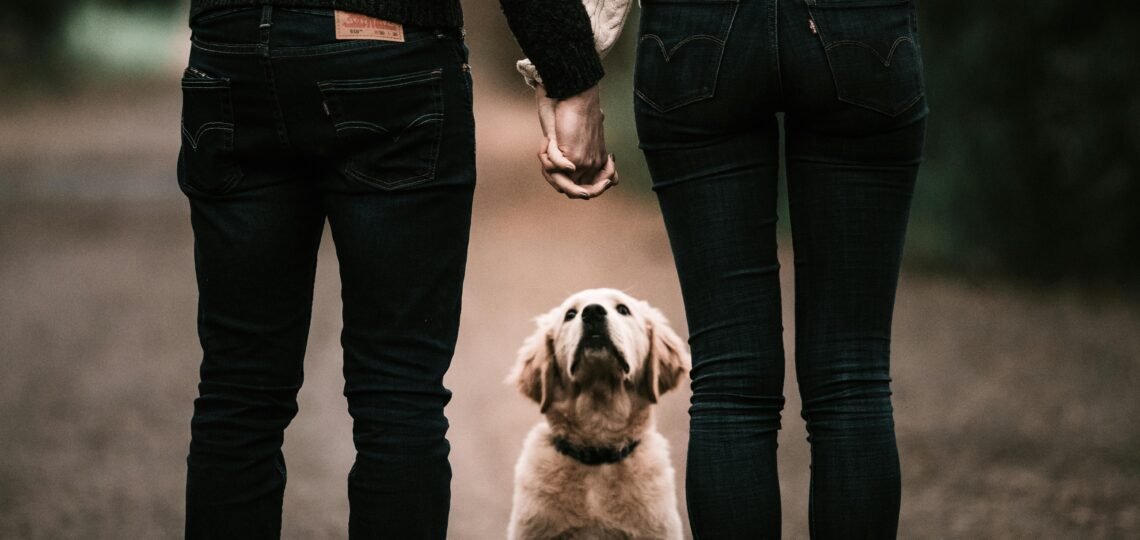 Couple holding hands with backs faced to camera and dog between them,