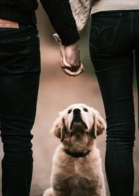 Couple holding hands with backs faced to camera and dog between them,