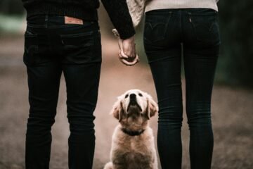 Couple holding hands with backs faced to camera and dog between them,