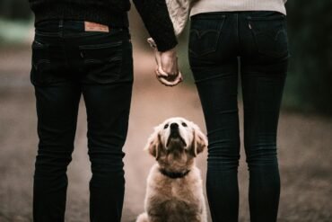 Couple holding hands with backs faced to camera and dog between them,