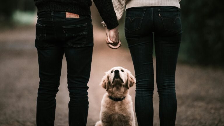 Couple holding hands with dog between them showing strengthened relationship after couples counselling in clarkson